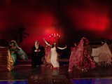 Bauchtanz, Modern Pop Orient Show, 1001 Nacht, orientalischer Bauchtanz. Arabische Nacht. (8).JPG